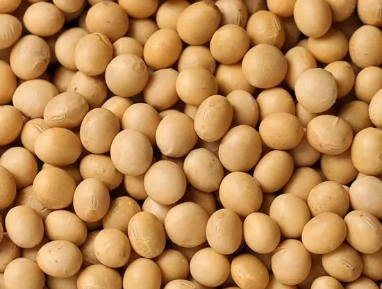 Sel d'Epsom heptahydraté de sulfate de magnésium de qualité alimentaire Laiyu Chine